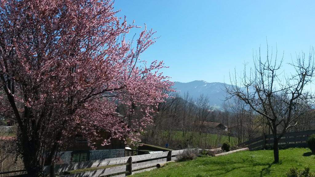Appartamento Zum Heisn Lenggries Esterno foto