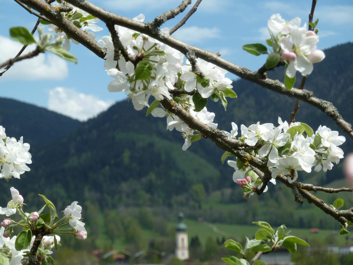 Appartamento Zum Heisn Lenggries Esterno foto